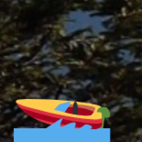 Major Lakes in Rajasthan (Natural + Artificial)