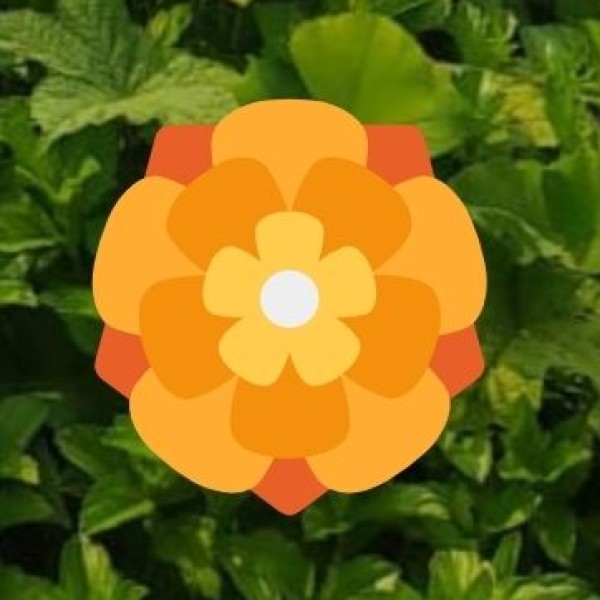 Role in Ecology & Conservation