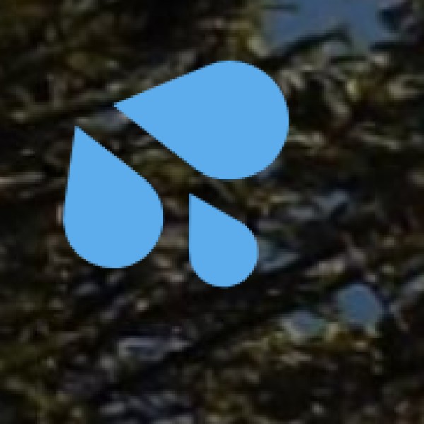 Which is the Best Lake for You?