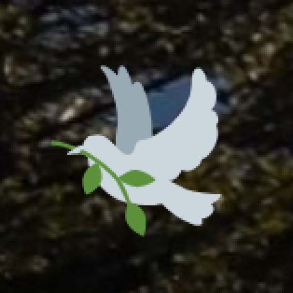 Aravalli Biodiversity Park (Vasant Vihar)