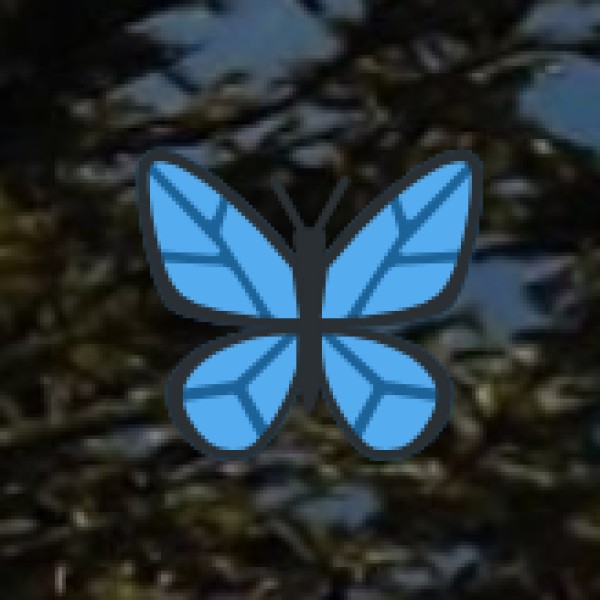 Kambham Cheruvu (Rajahmundry)