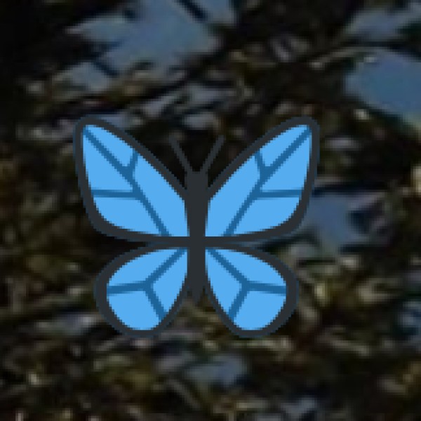 Kukkarahalli Lake – Mysuru