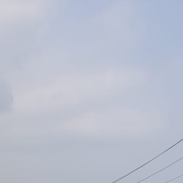 Thol Lake (Mehsana district, near Ahmedabad)