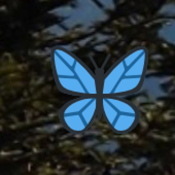 Top Lakes & Waterbodies in West Bengal