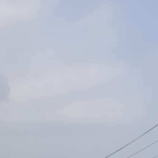 Biodiversity and Birdwatching