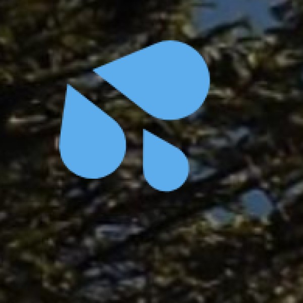 Best Lakes in Arunachal Pradesh