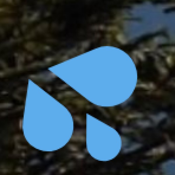 Best Rivers in Arunachal Pradesh