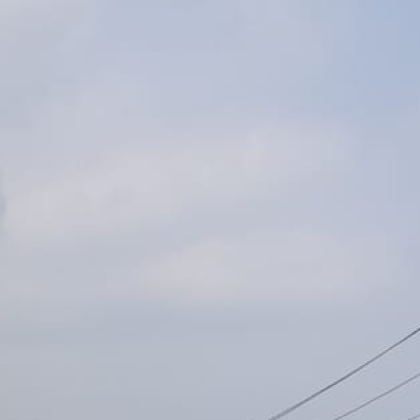 Mangalavanam Bird Sanctuary