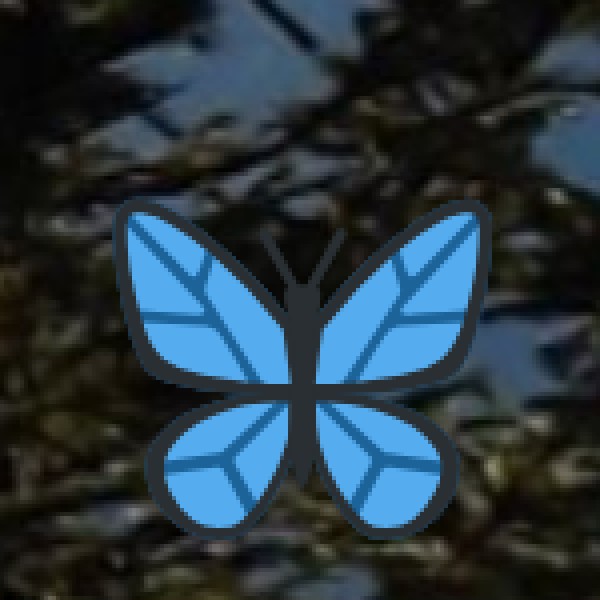 Pfutsero – Coldest Place in Nagaland