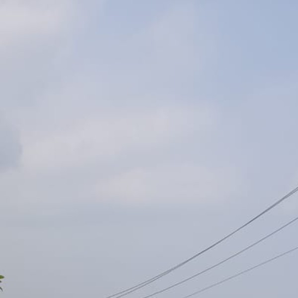 Karanji Lake – Mysuru