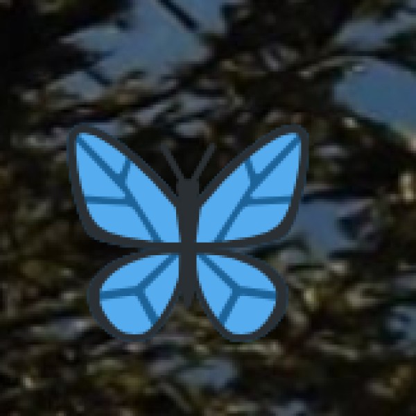 Chilika Lake (Asia's Largest Brackish Water Lagoon)