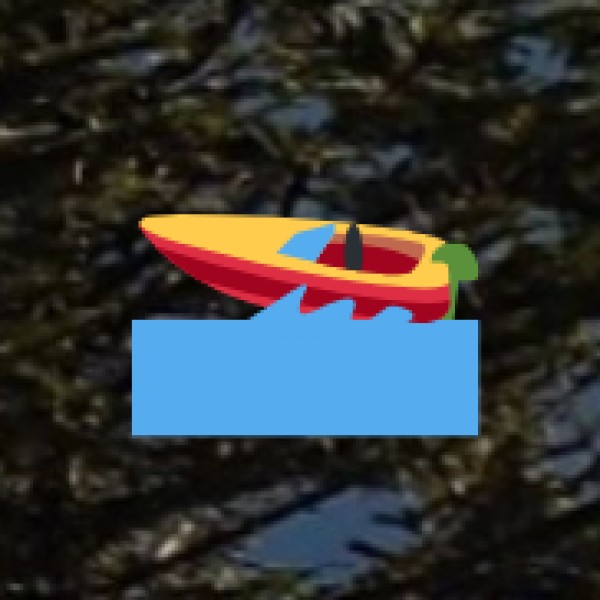 Activities Around Lakes in U.P.