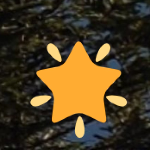 Sunrise & Sunset Points Worth Experiencing