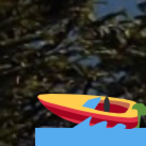Tamdil Lake