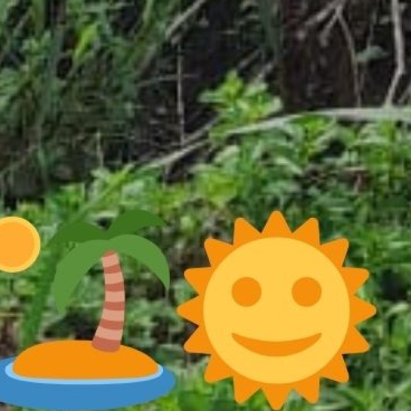 Balsamand Lake – Jodhpur