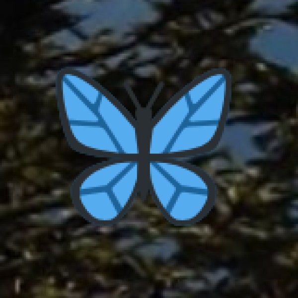 Major Lakes in Delhi