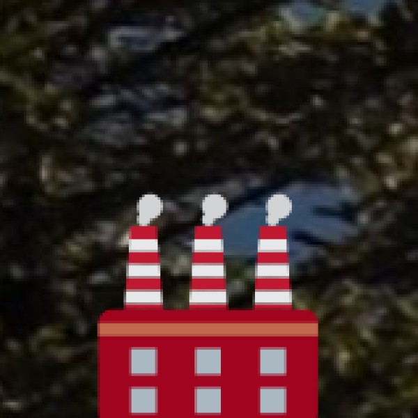 Keoladeo National Park – Bharatpur