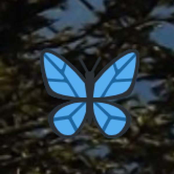 Summary Table of Key Lakes in Delhi