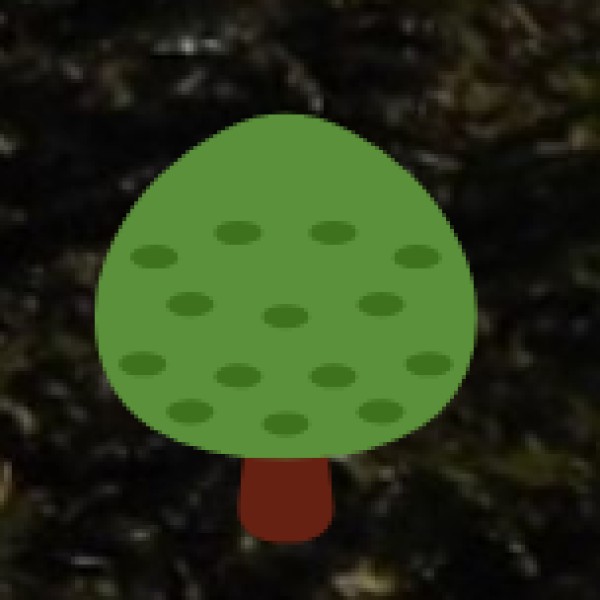 Dibang River – The Untamed Beauty