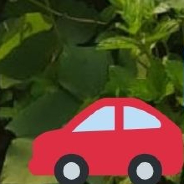 Best for Road Trips & Scenic Drives