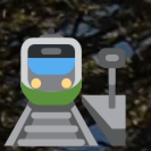 Transportation & Getting Around