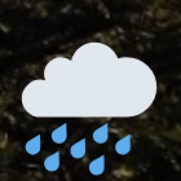 2. Monsoon (July – September)