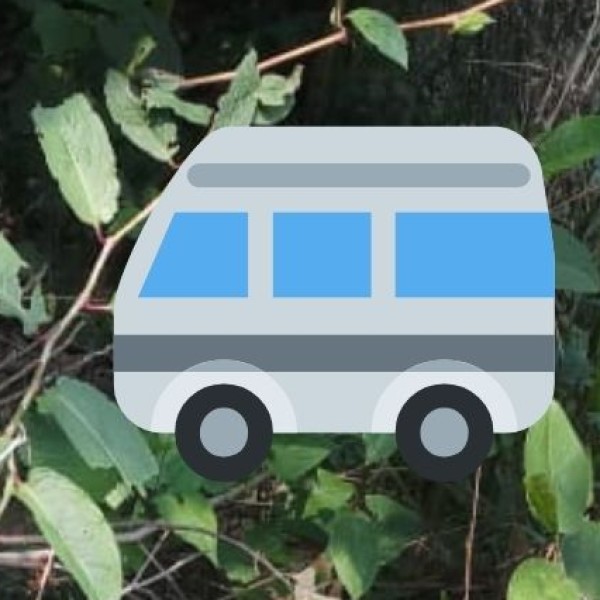 Public Transport & Local Travel