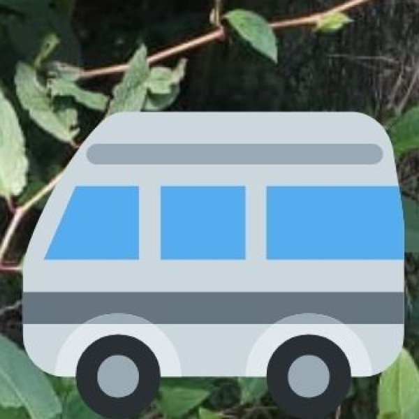 By Road – Highways & Bus Connectivity