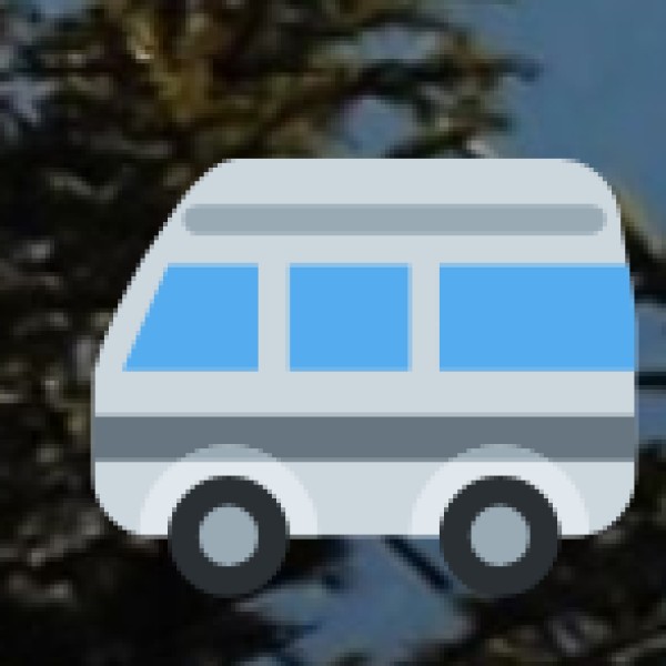 State & Private Bus Services: