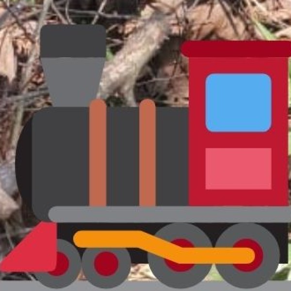By Train – Indian Railways Network