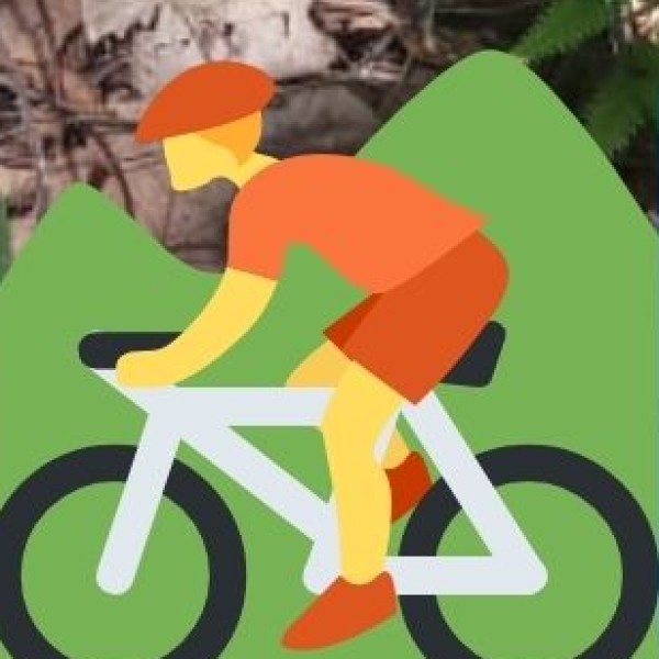 Renting a Bike or Car – Best for Adventurous Travelers