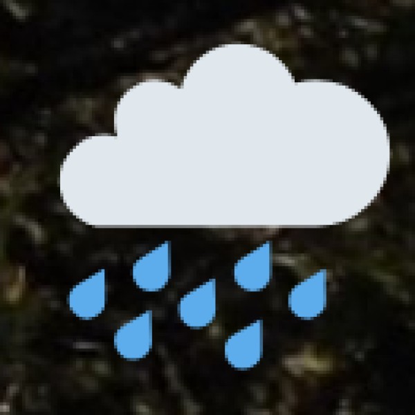 Winter (December–February)