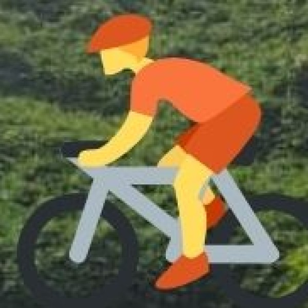 Best Local Transport for Tourists: