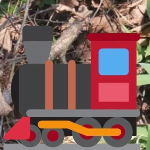 By Train (Indian Railways Network)