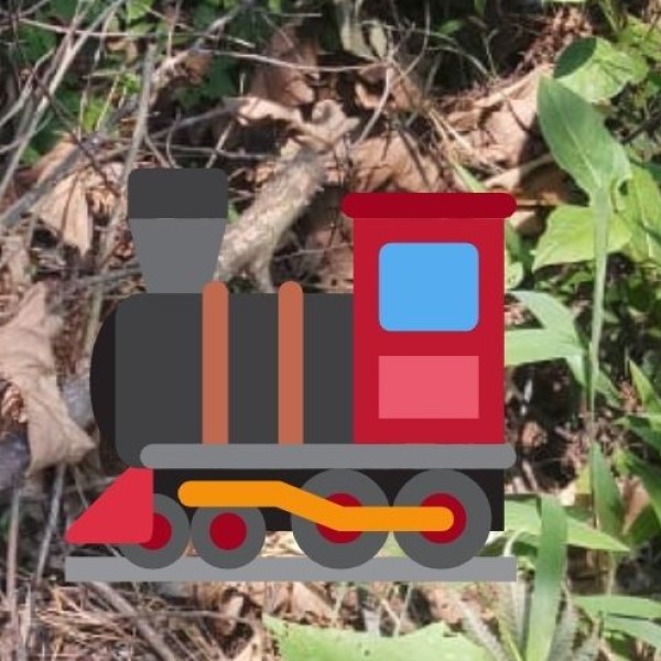 By Train