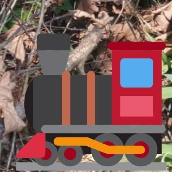 Railways: Indian Railways Network
