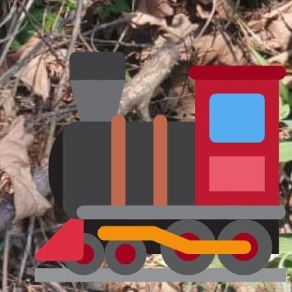 Best Train Options: