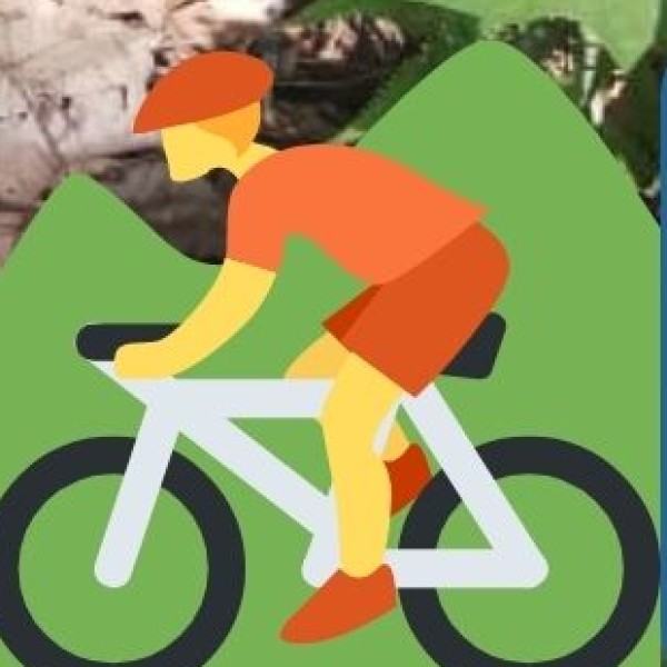 Bicycle Rentals & Walking Tours