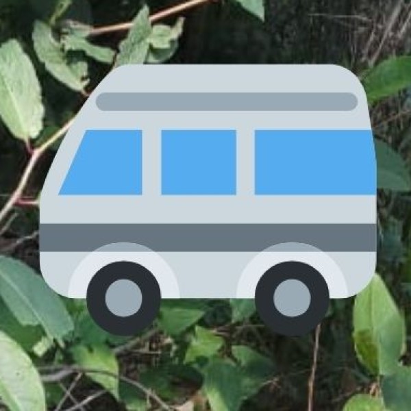 Public Transport & Local Travel