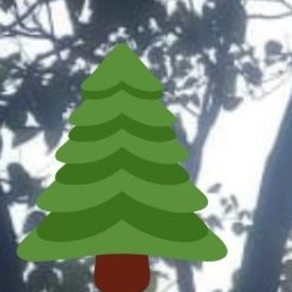 4. Winter (December – February)