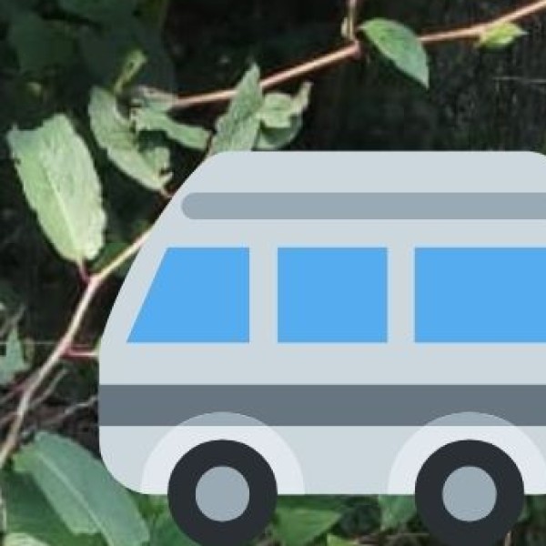 Public & Private Bus Services
