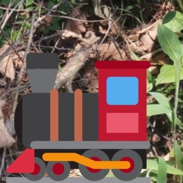 • By Rail: