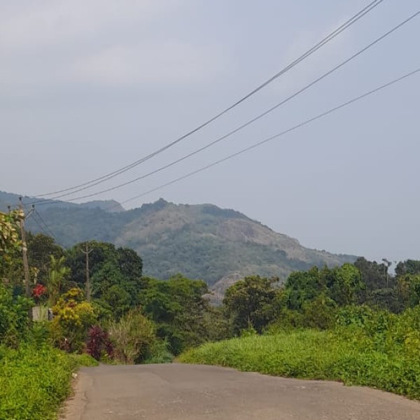 Festivals & Cultural Heritage of Chhattisgarh