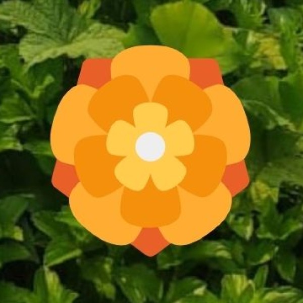 Major Religious Festivals & Events