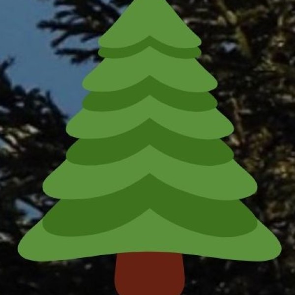 Explore the Natural Beauty of Madhya Pradesh!