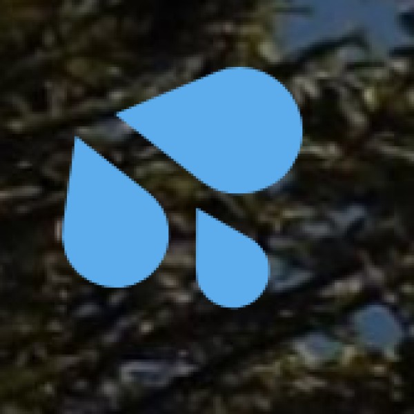 Vazhachal Waterfalls – The Misty Wonderland