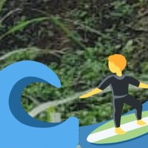 Challenges and Concerns