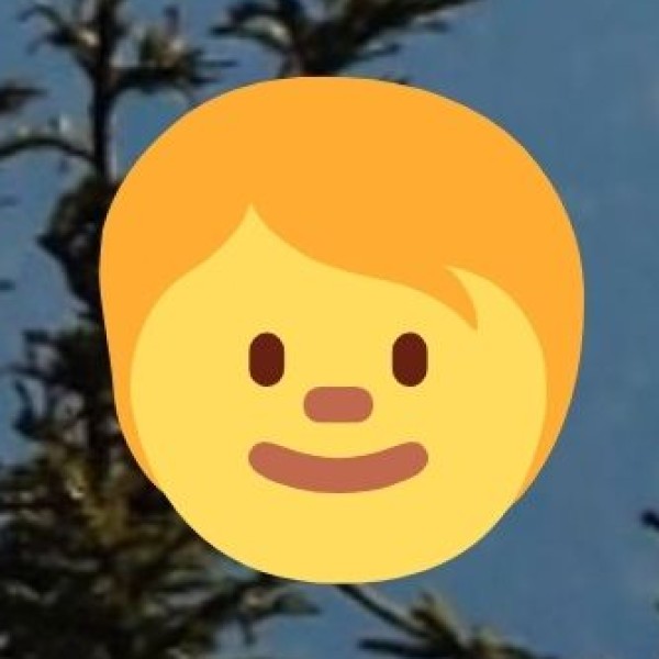 • Important Projects: