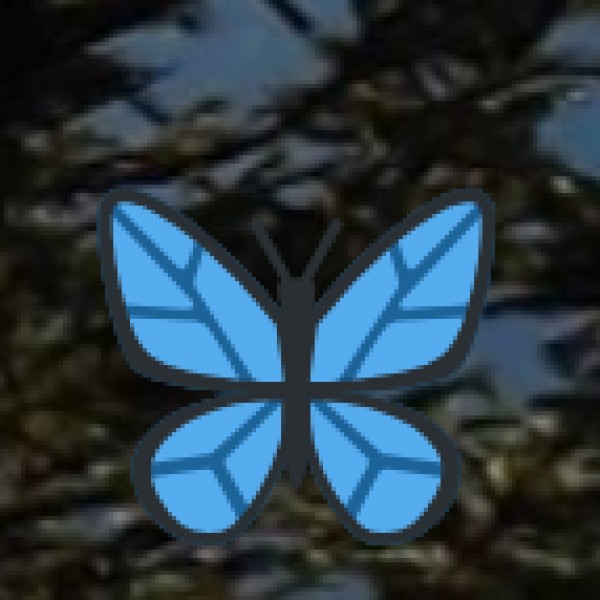 • Chakra Waterfall (Dadra and Nagar Haveli and Daman and Diu):