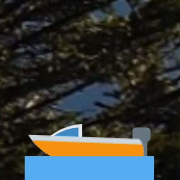 Abbey Falls (Coorg/Kodagu)